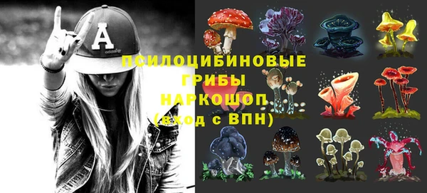 mdpv Богданович