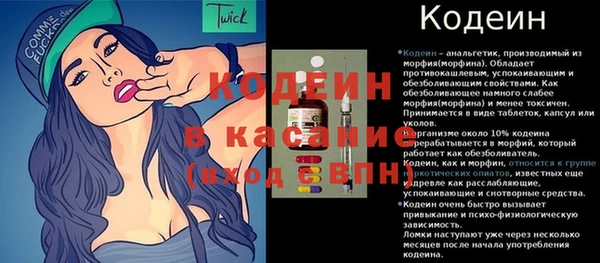 хмурый Богородицк