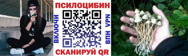 Псилоцибиновые грибы мухоморы Володарск